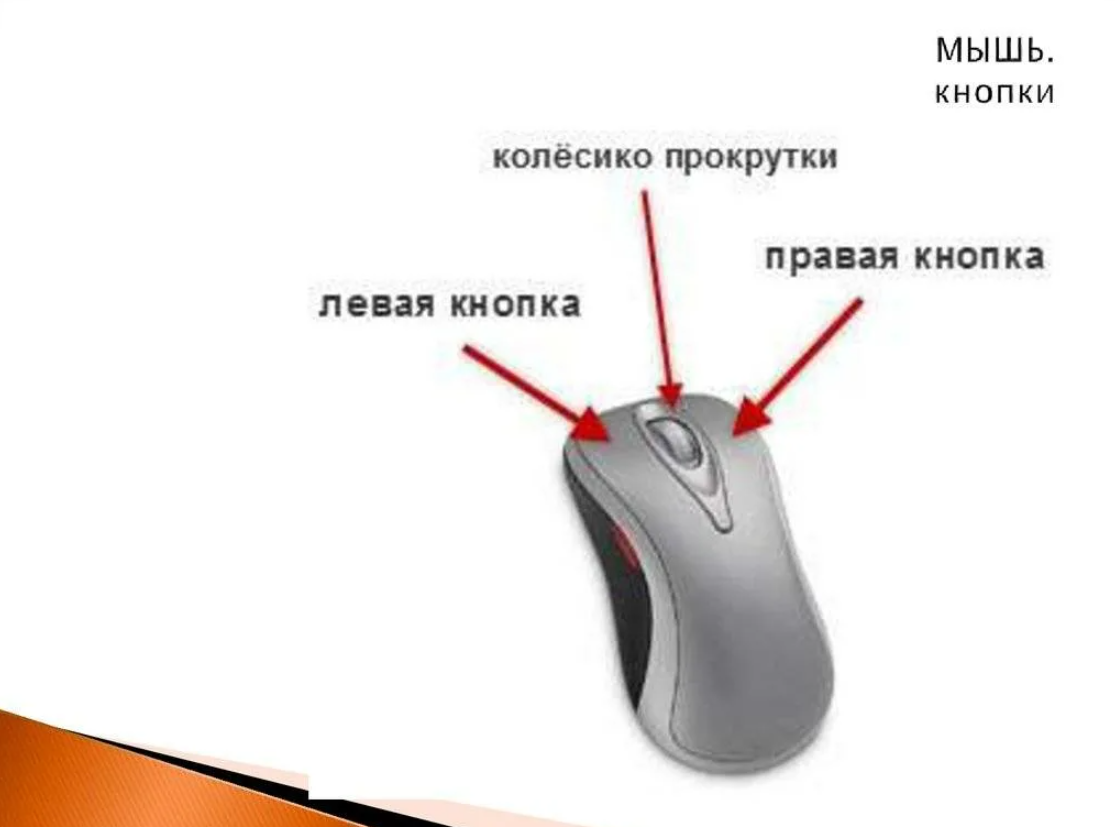 Почему мышь назвали мышью. Бесшумные мышки с кнопкой сбоку. Для чего нужны кнопки на мышке сбоку. Как называется на мышке снизу. V + ПКМ (правая кнопка мыши)..