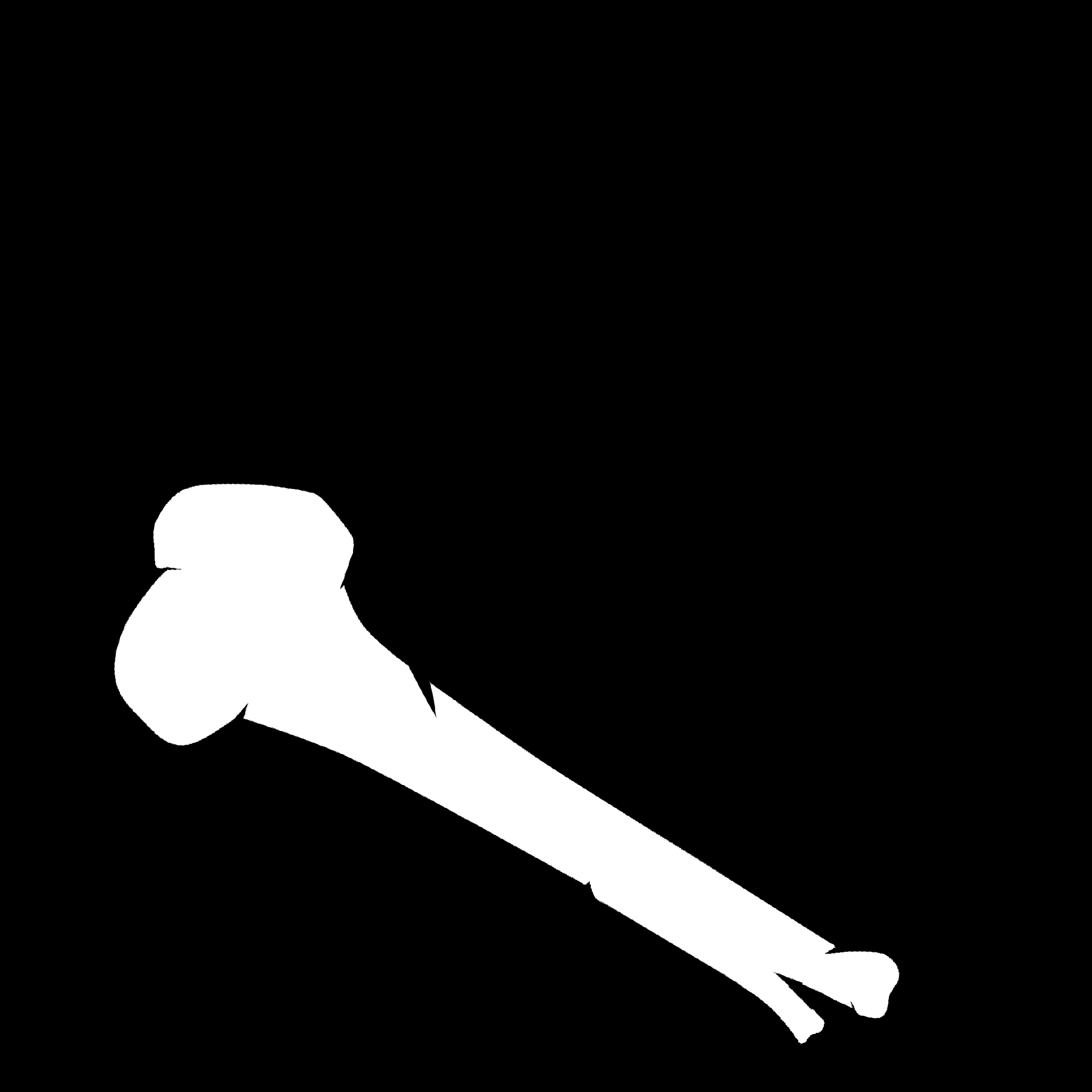 Pirate Bandana thumbnail 5