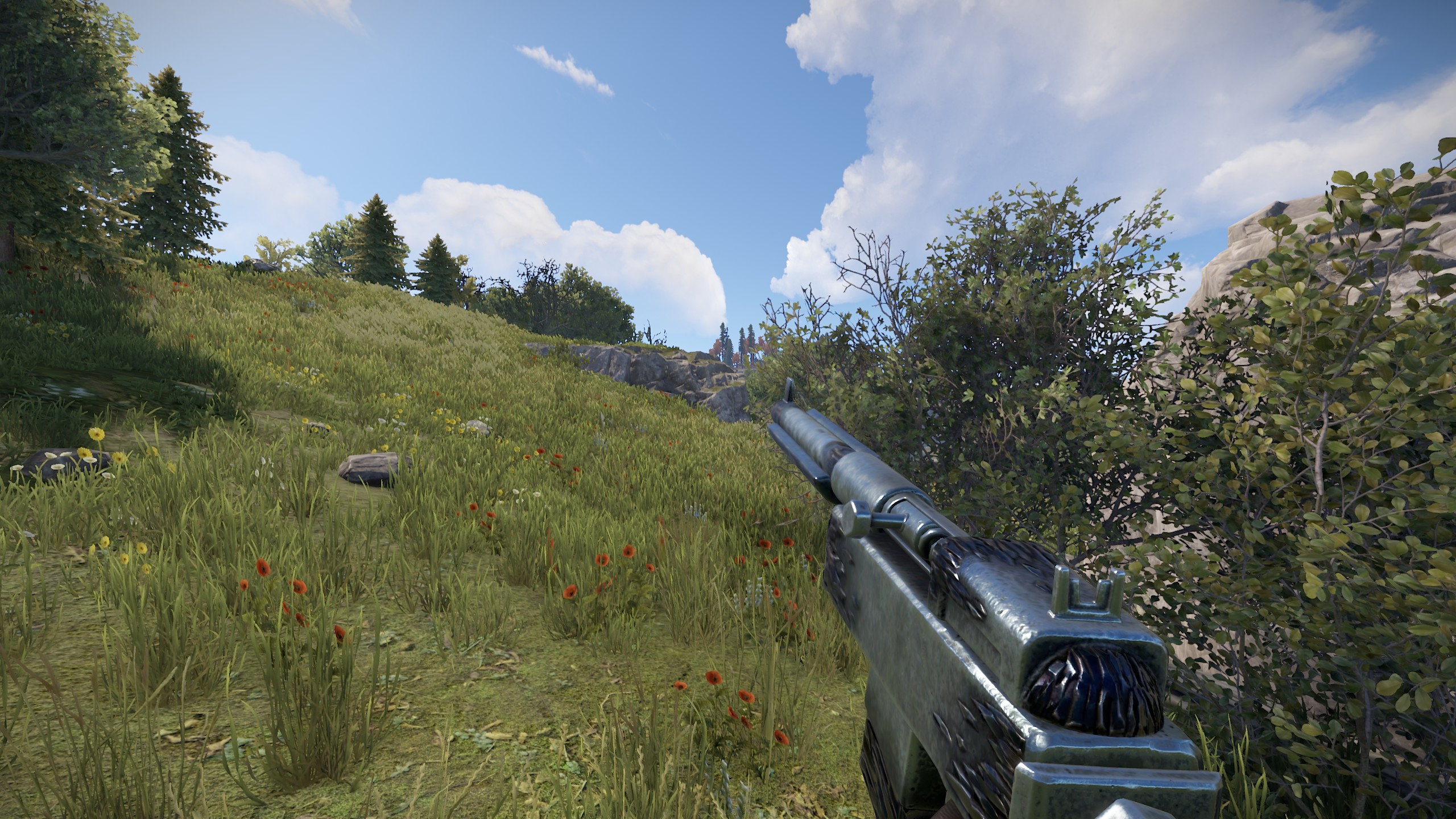 HQM SAR thumbnail 7