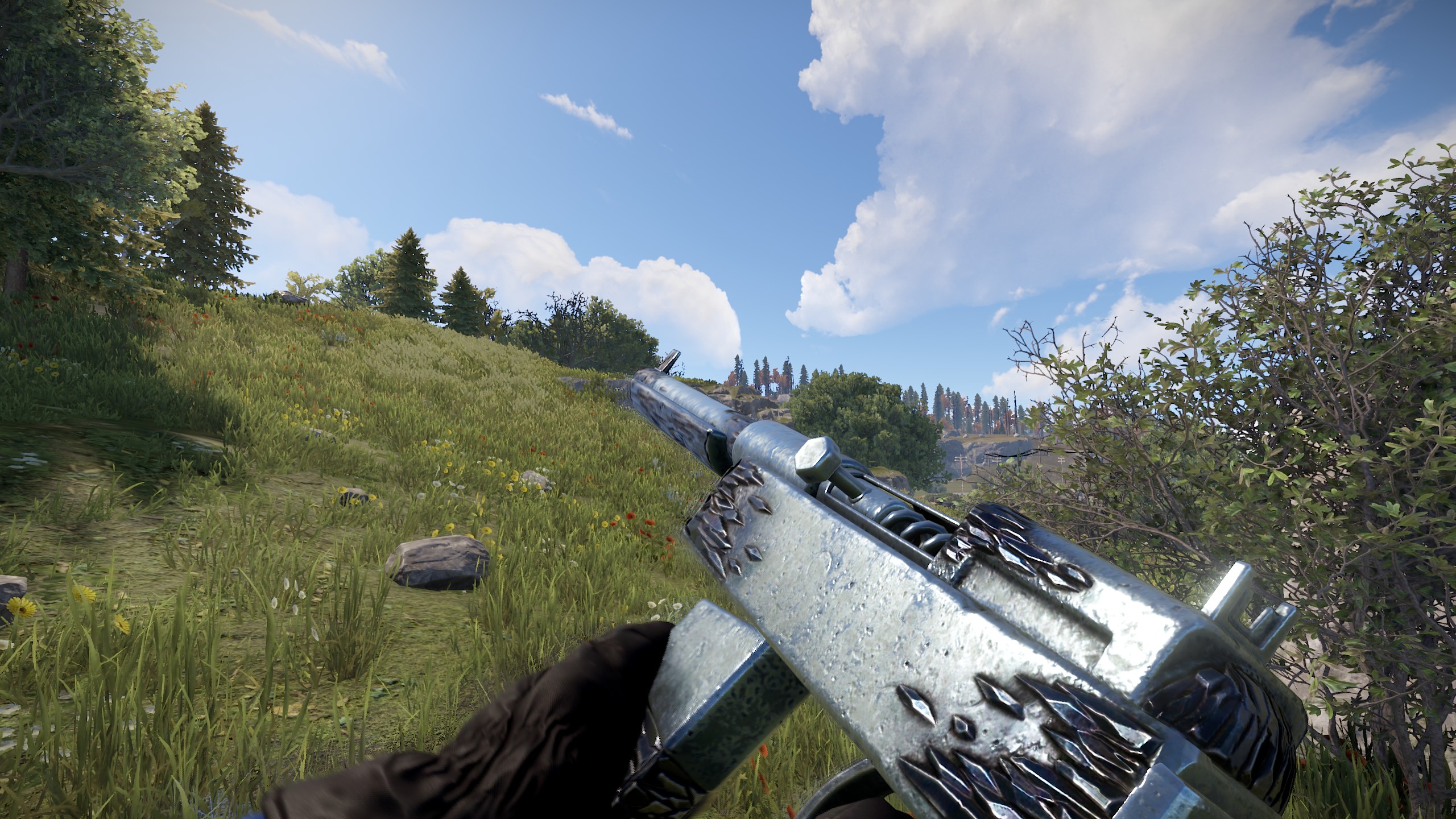 HQM SAR thumbnail 8