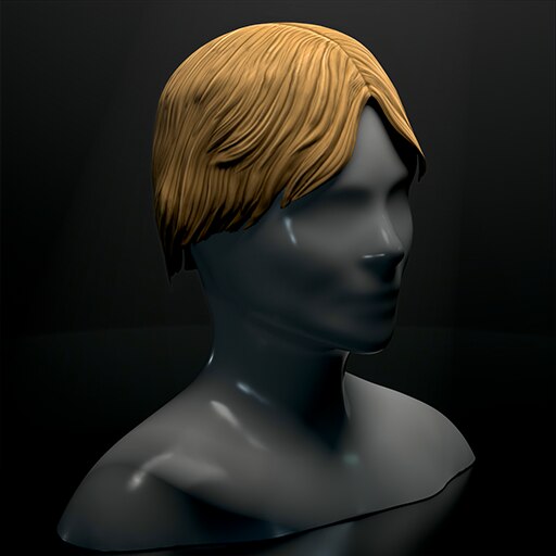 Steam Workshop Toupee