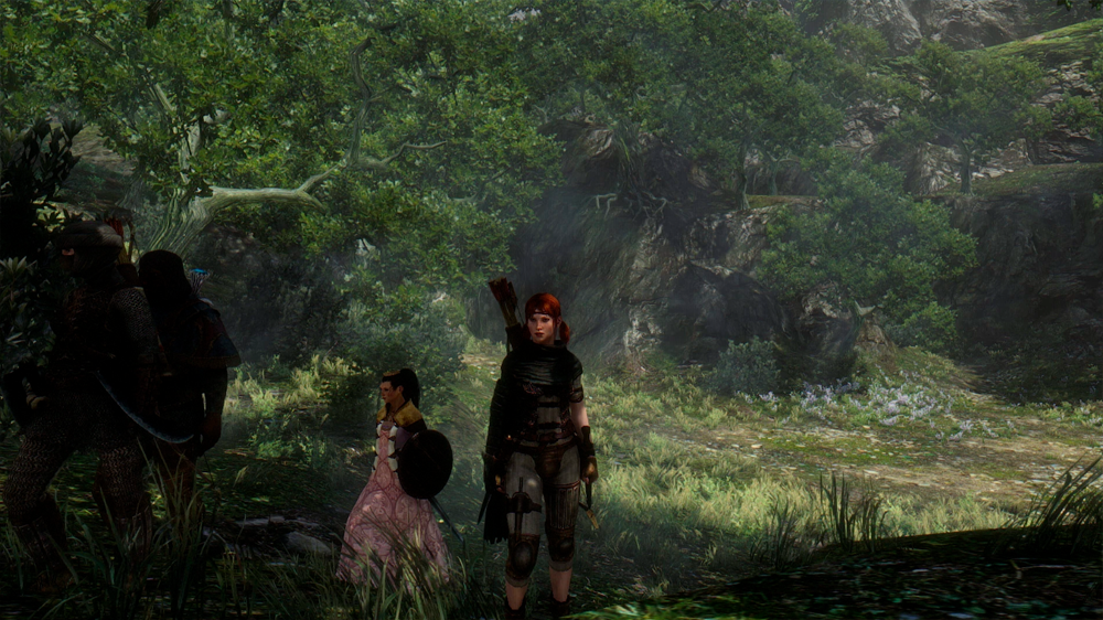 Steam Community :: Guide :: Dragon's Dogma: Dark Arisen - Ultimate Remaster