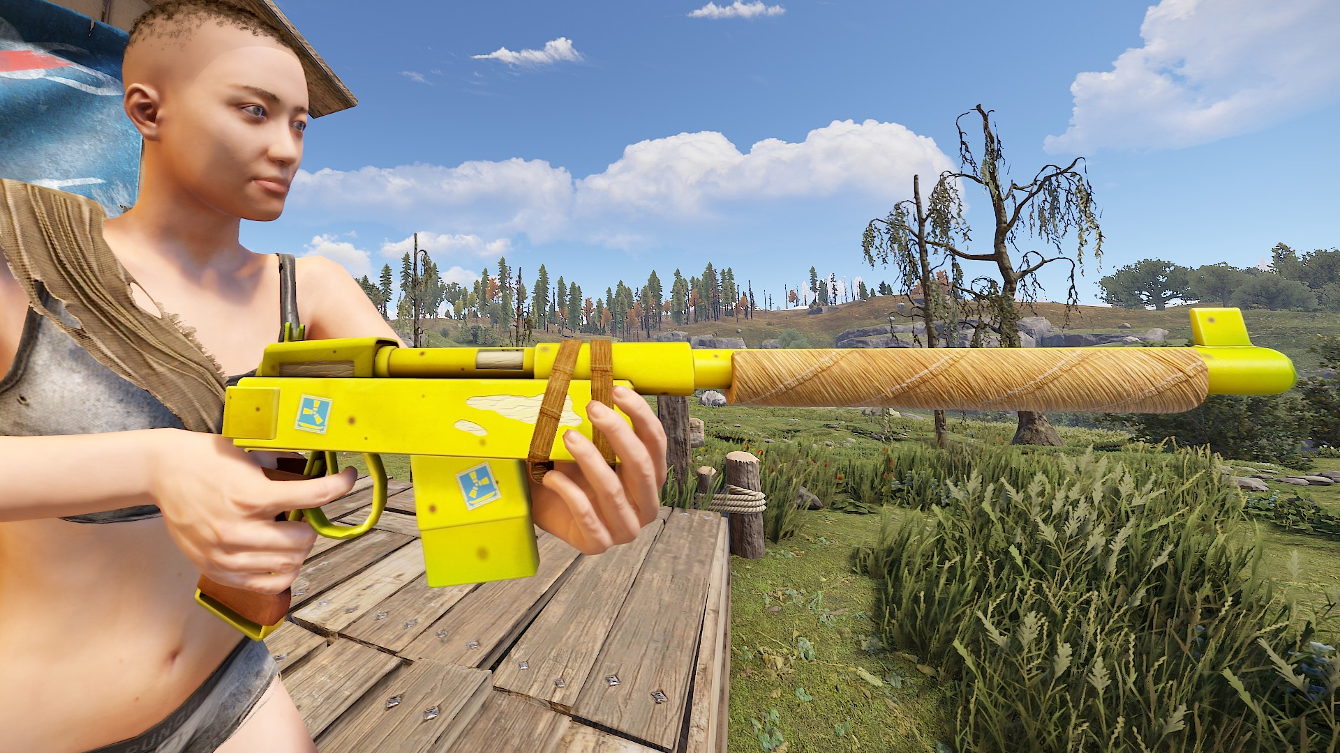 Sarnana thumbnail 5