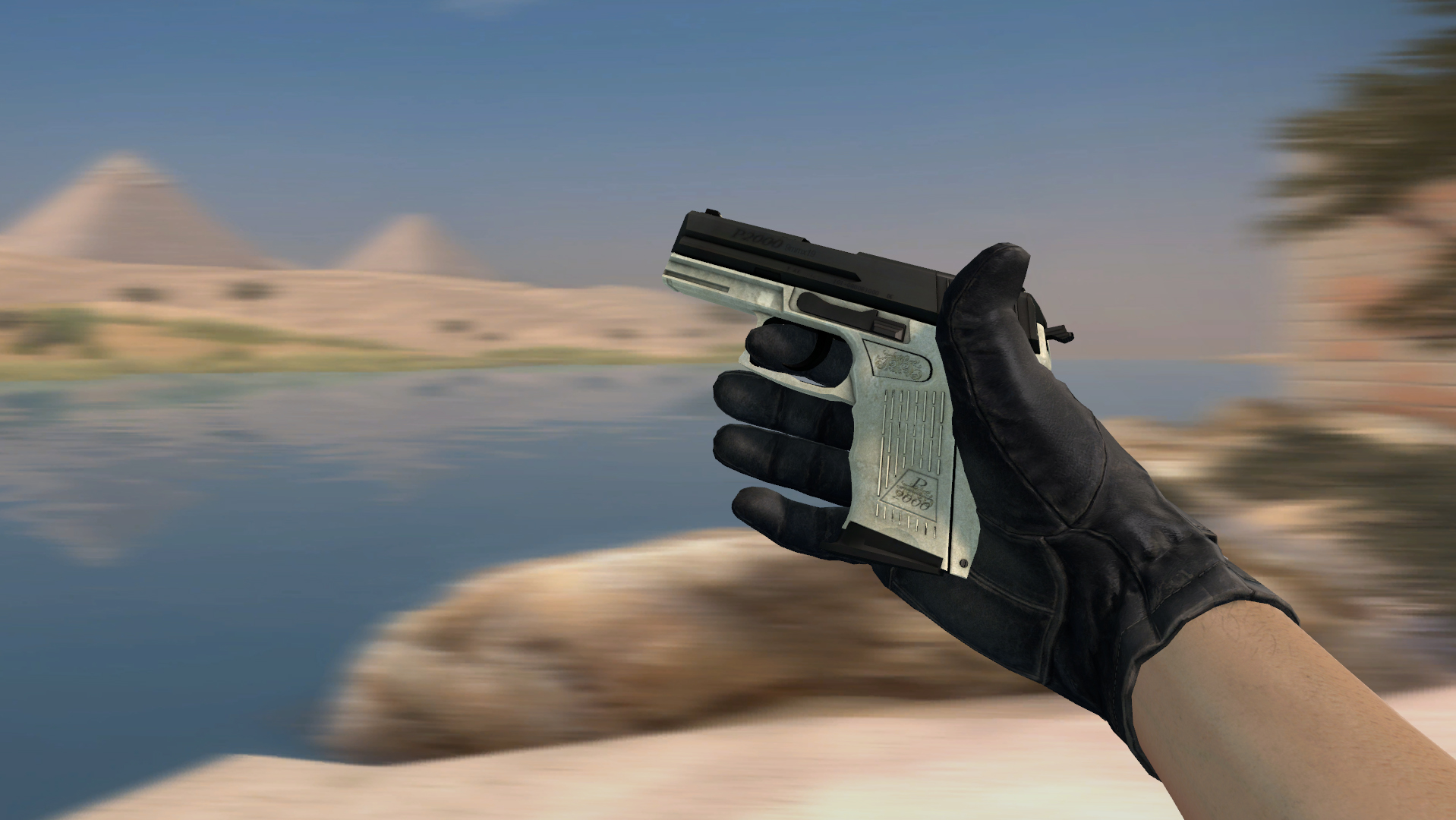 Steam Community :: Guide :: Poor Man's Gray Loadout
