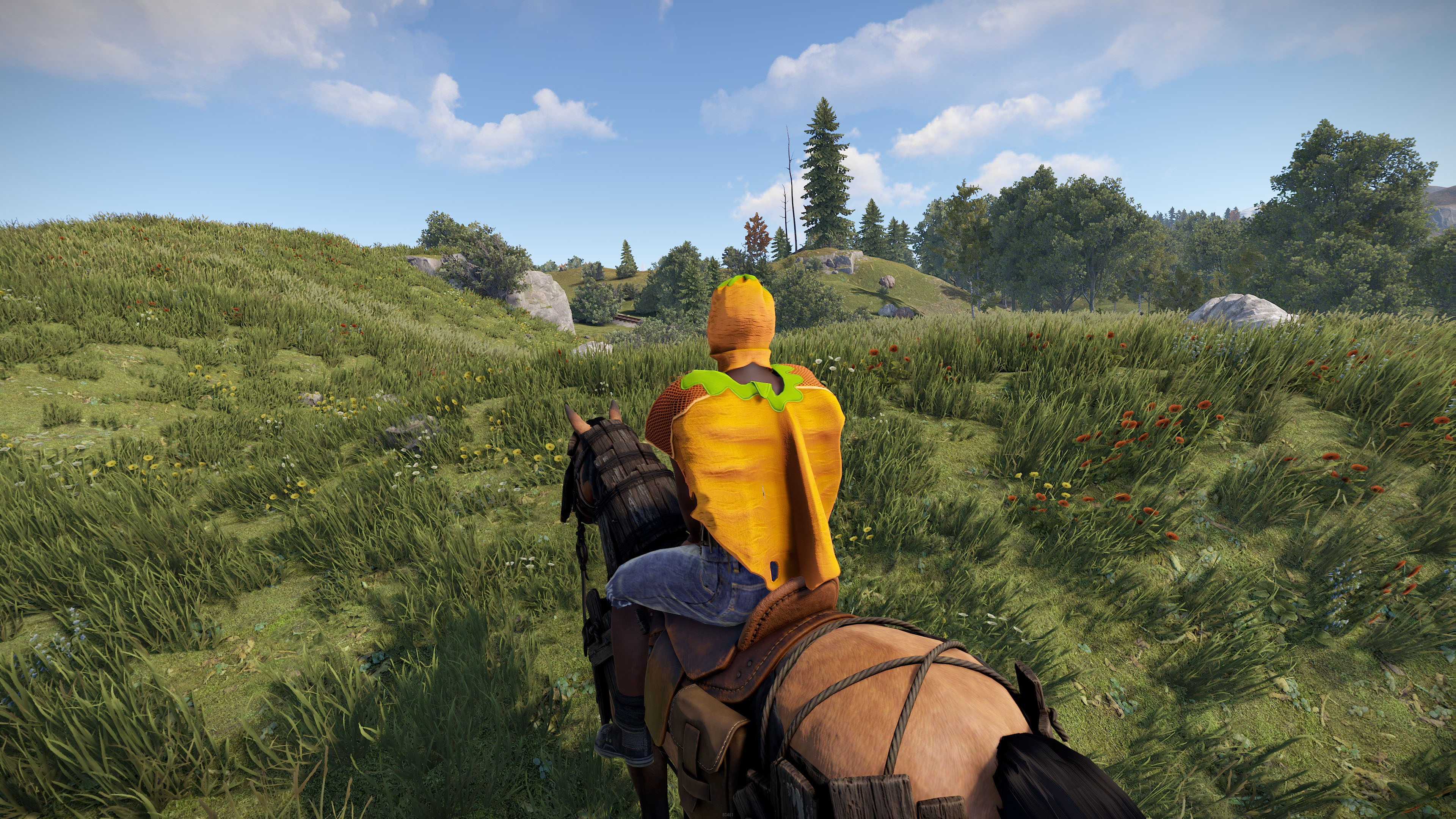 Carrot Poncho thumbnail 6