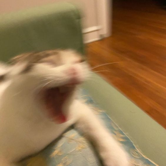AAAAAAAAAAAAAAAAAAAAAA