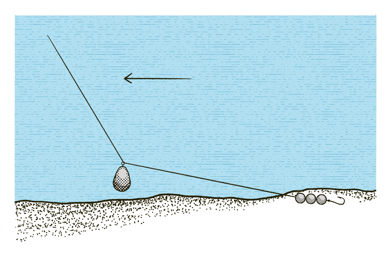 RF4 Sea Fishing Guideline image 36