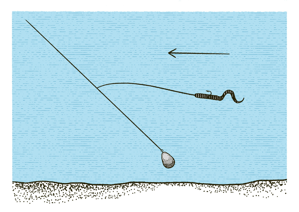 RF4 Sea Fishing Guideline image 55