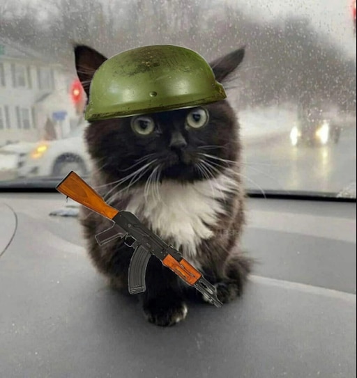Мем с котом в каске Мем с котом в каске