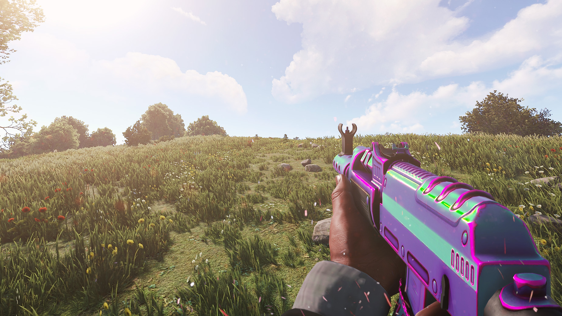 Chameleon AR thumbnail 7