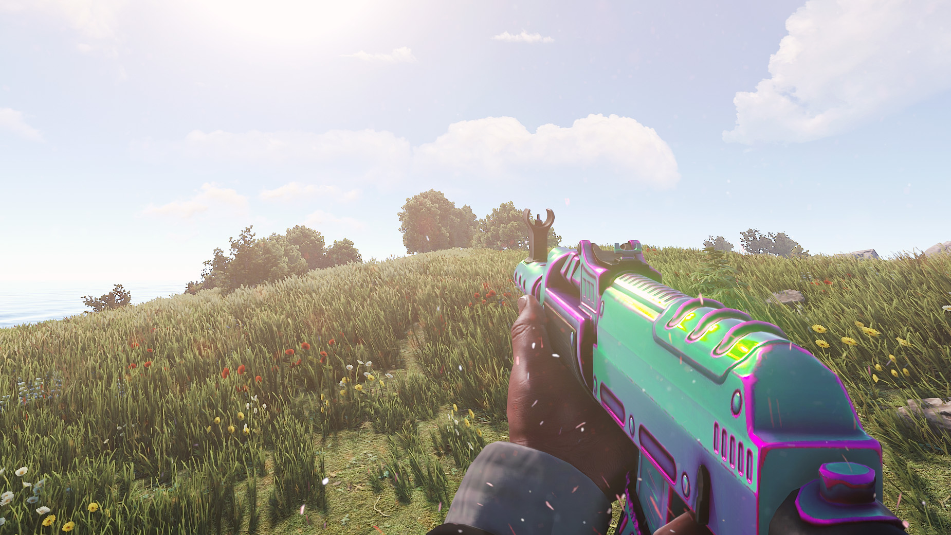 Chameleon AR thumbnail 12