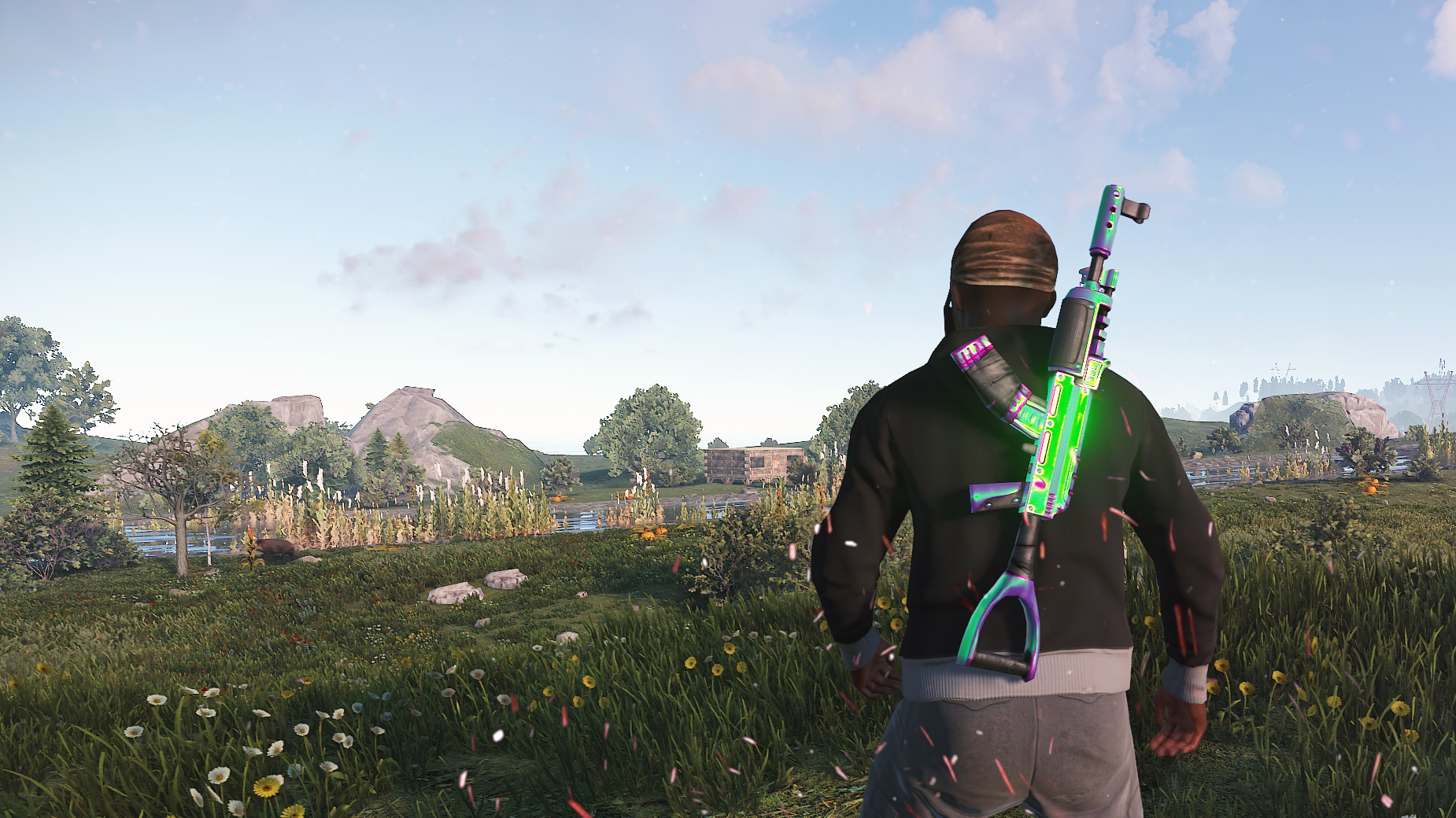 Chameleon AR thumbnail 4