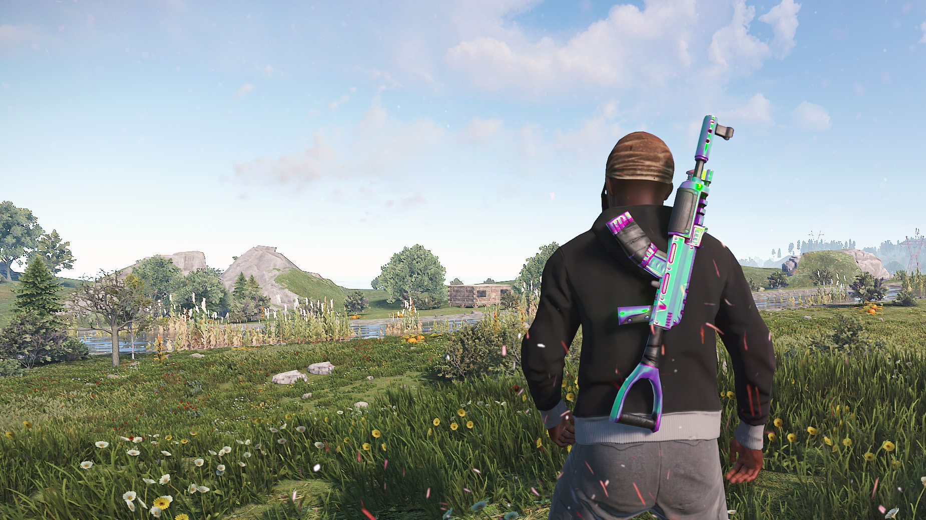 Chameleon AR thumbnail 5