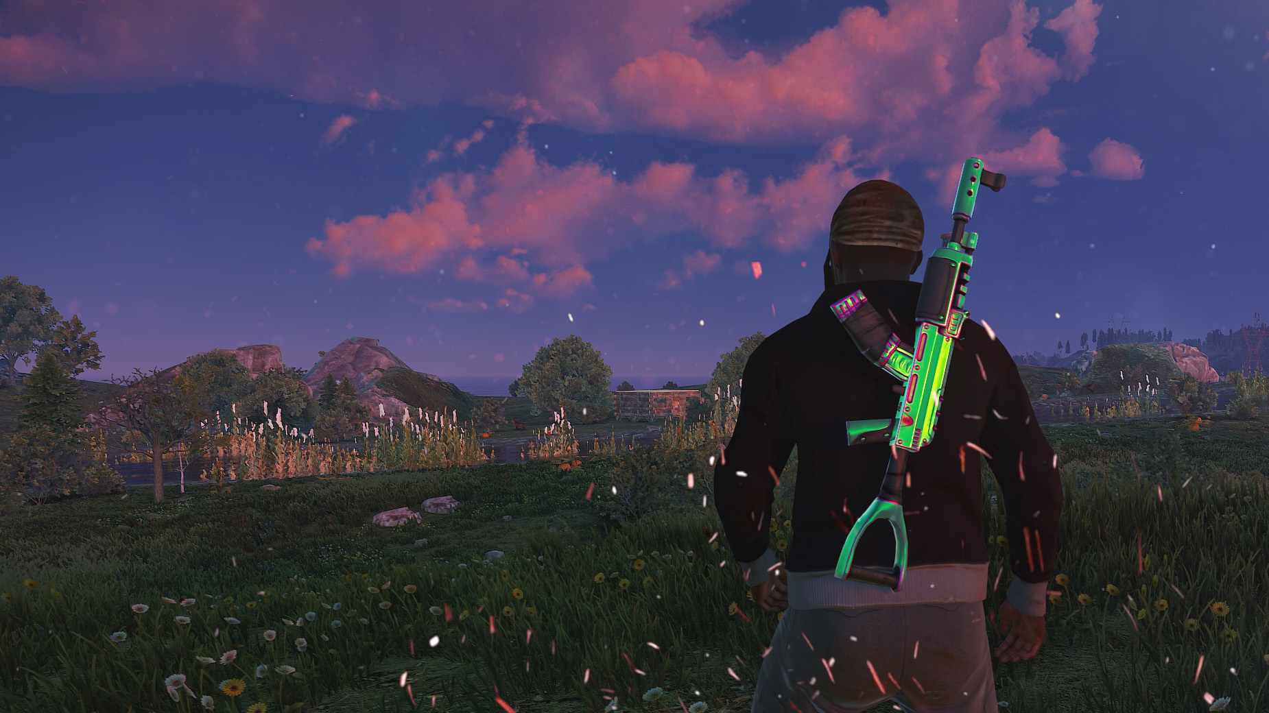Chameleon AR thumbnail 6