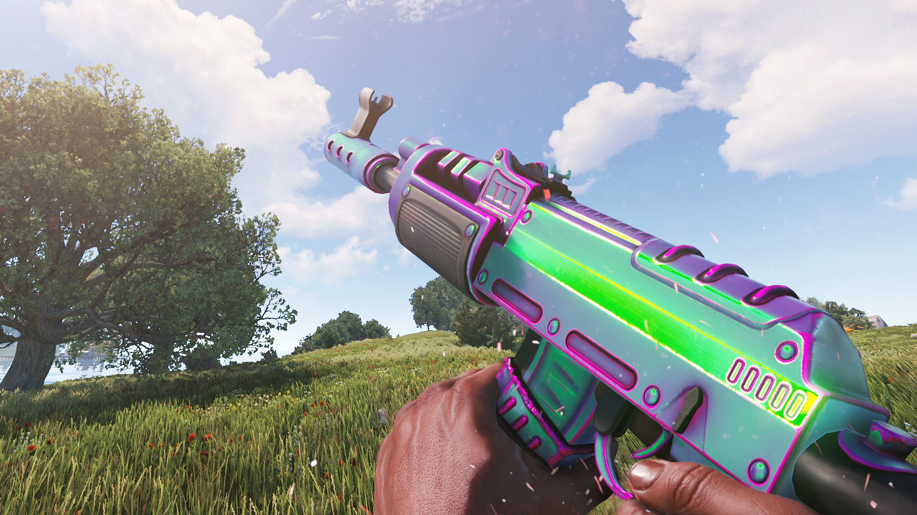 Chameleon AR thumbnail 9