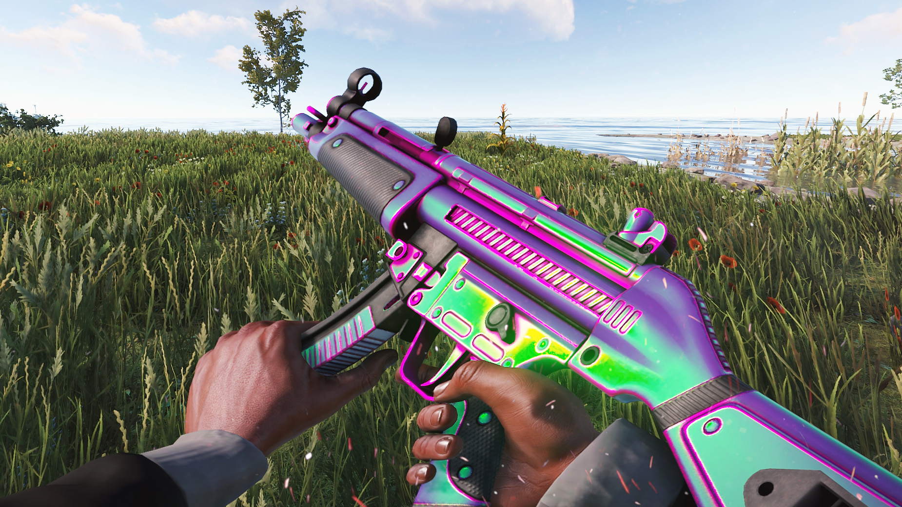 Chameleon MP5 screenshot 1