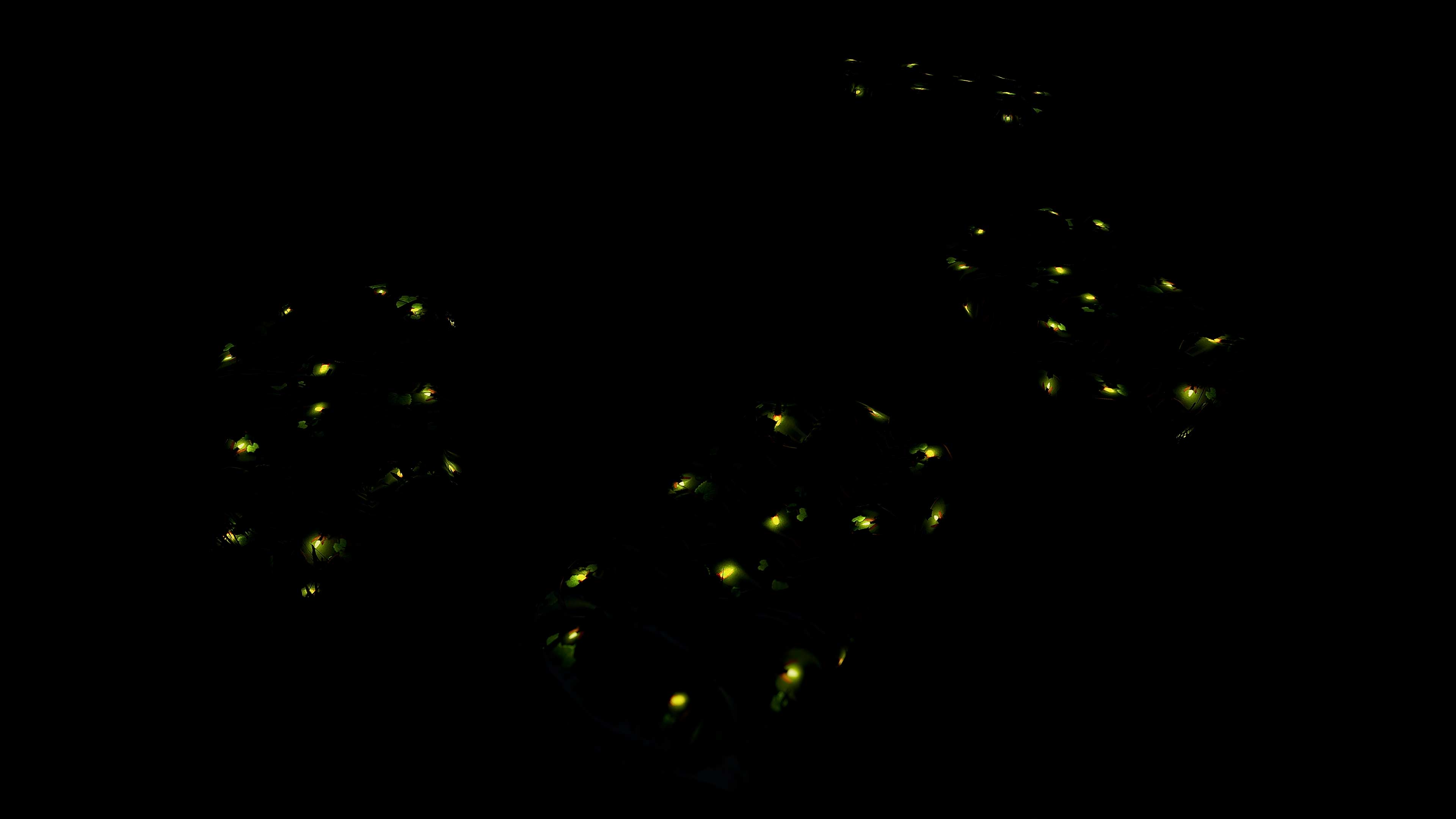 Fireflies Sleeping Bag thumbnail 10