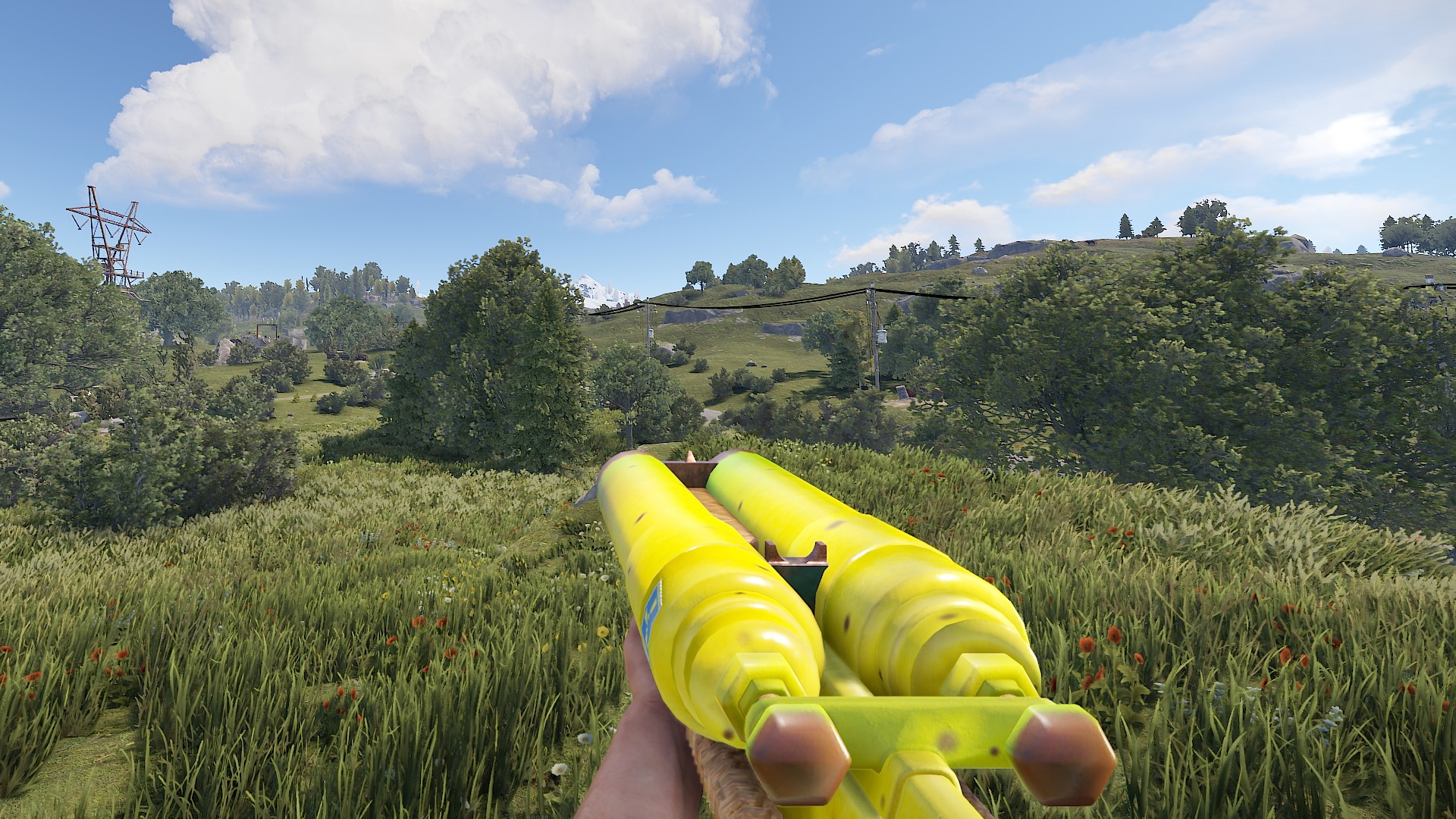 Double Barrelnana thumbnail 3