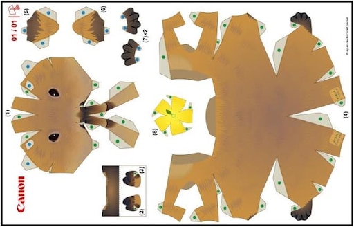 Капибара своими руками выкройки Капибара своими руками выкройки