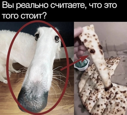 Собака прикрывает нос лапой мем Собака прикрывает нос лапой мем