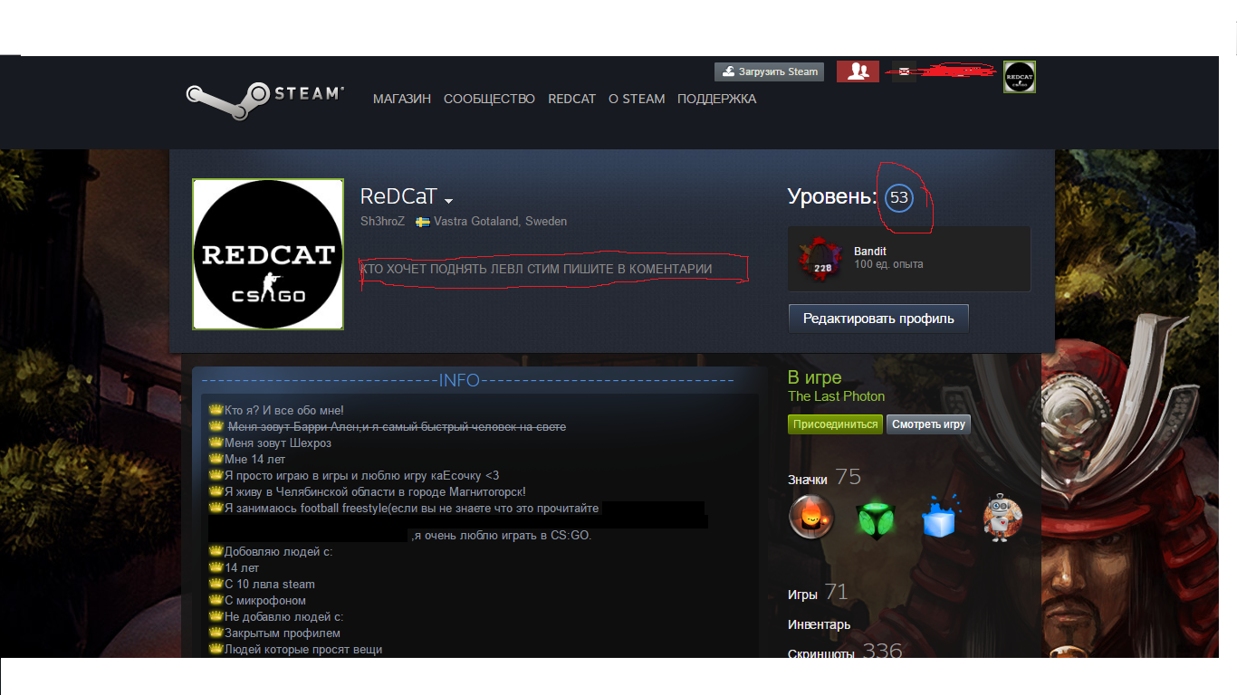 Поле со своей информацией steam оформление