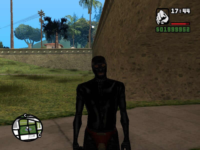 Download Sleeping Dog Skin PACK for GTA San Andreas