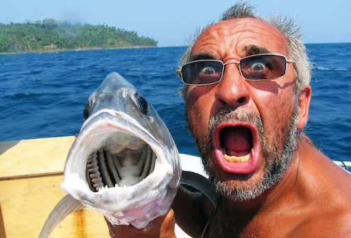 Лицо рыбы фото Лицо рыбы фото