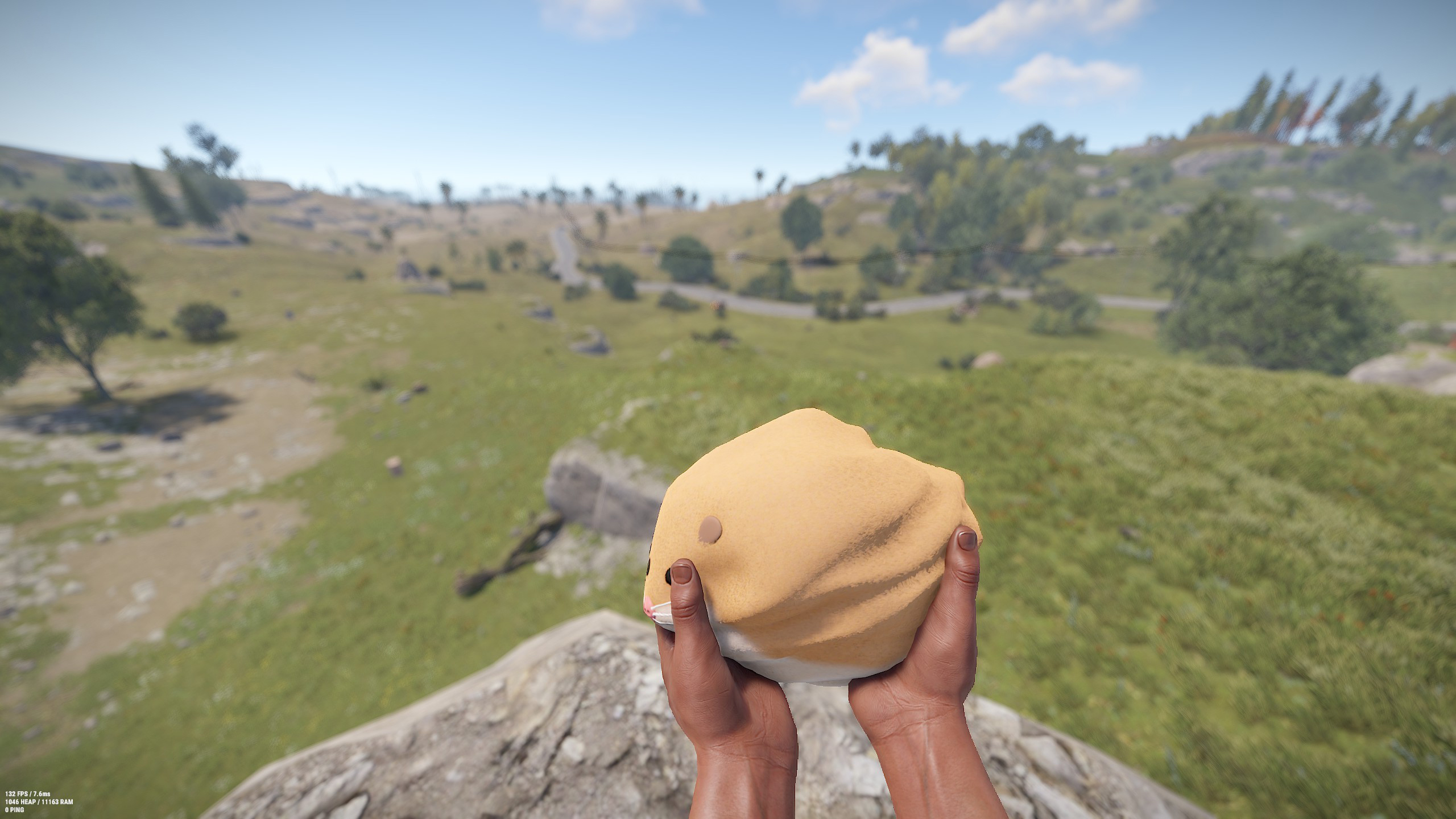 Hamster Rock thumbnail 5