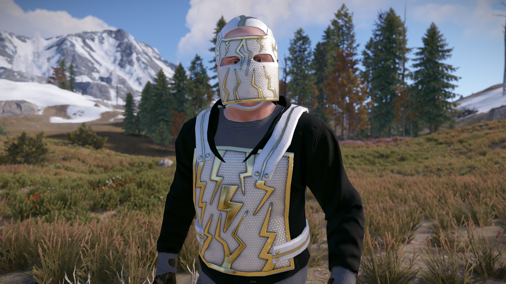 Thundergold Facemask thumbnail 8