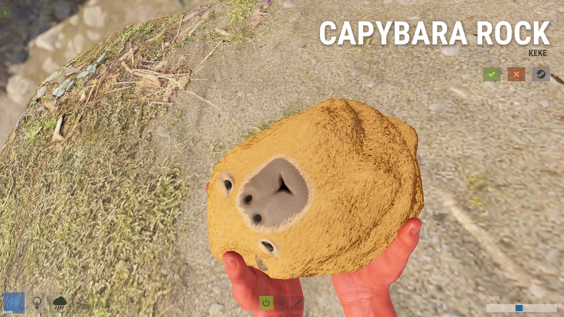 Capybara Rock thumbnail 6