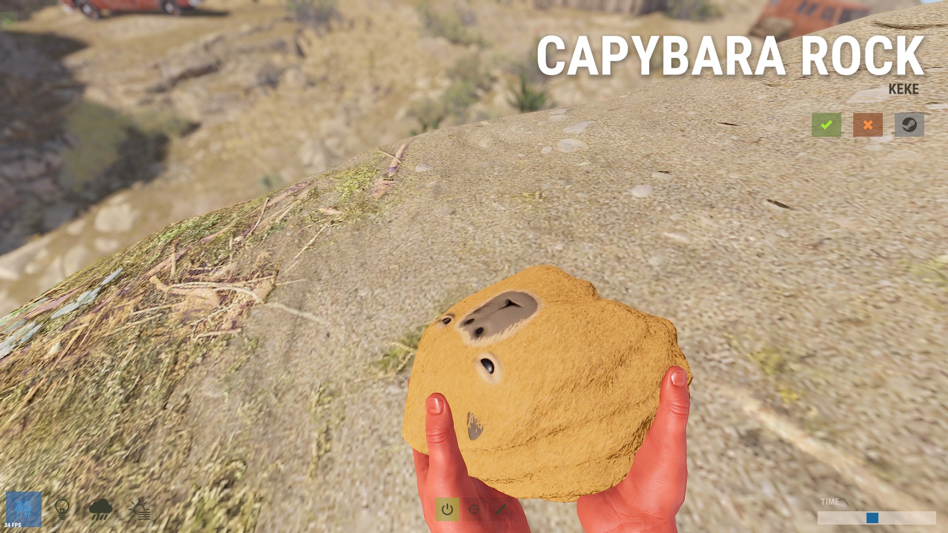 Capybara Rock thumbnail 7