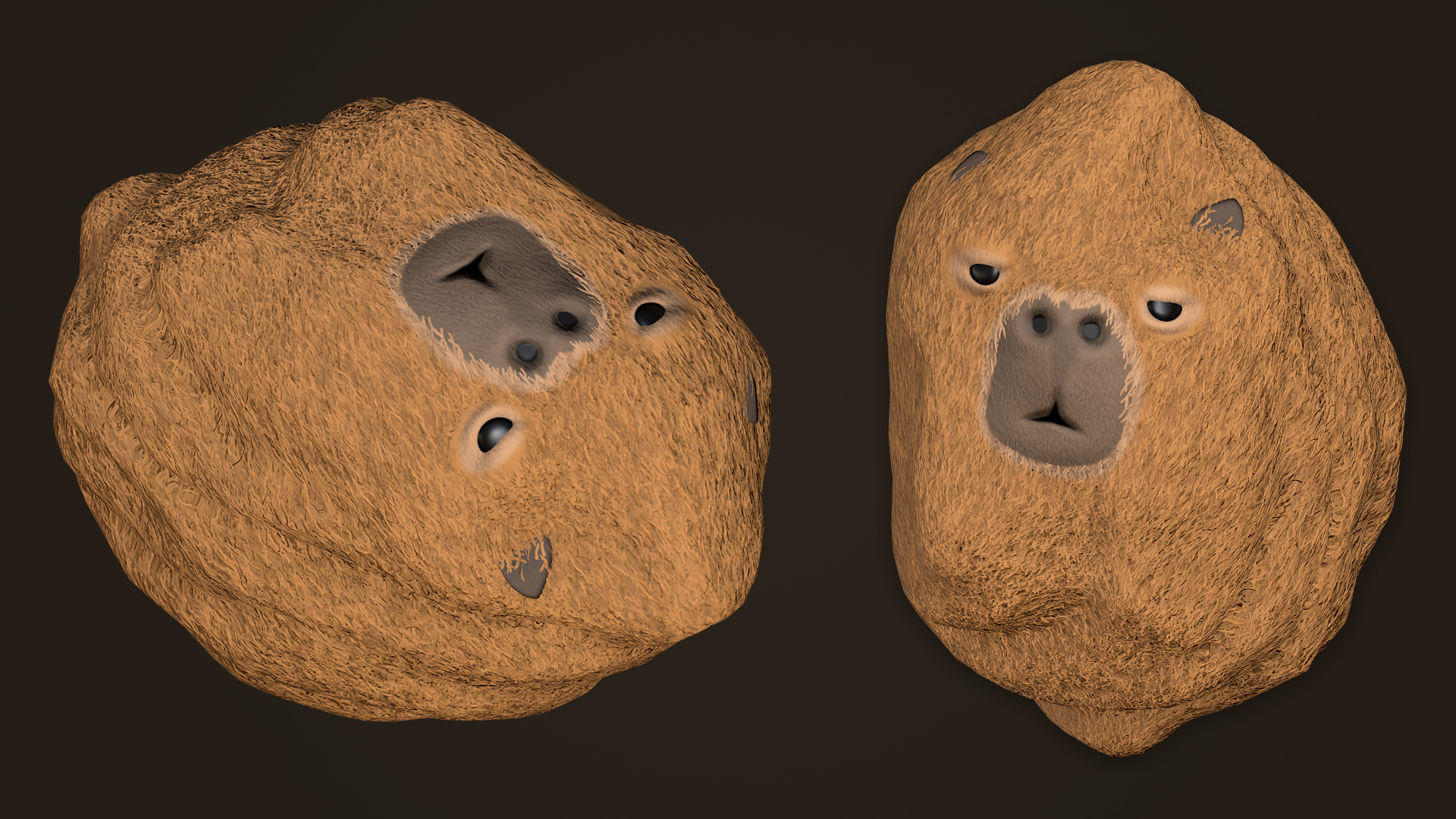 Capybara Rock screenshot 1