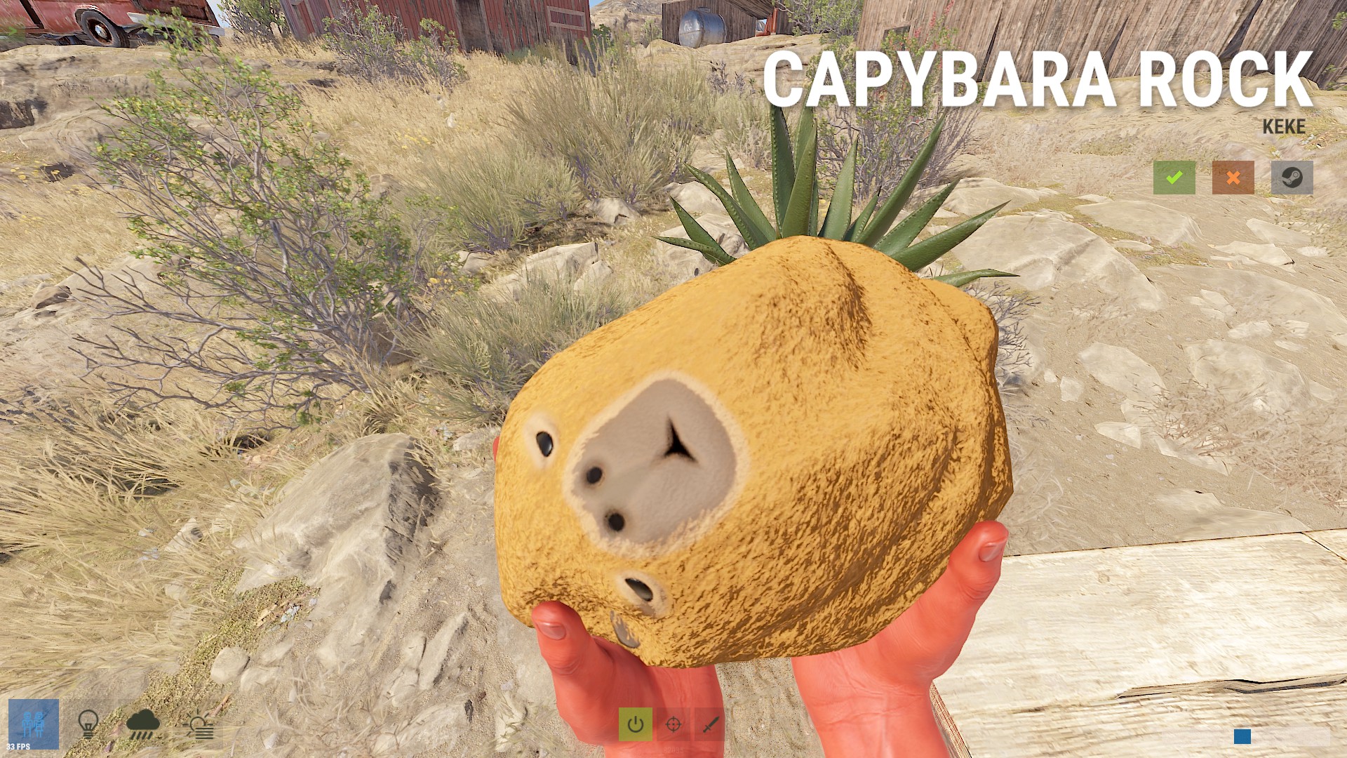 Capybara Rock thumbnail 8