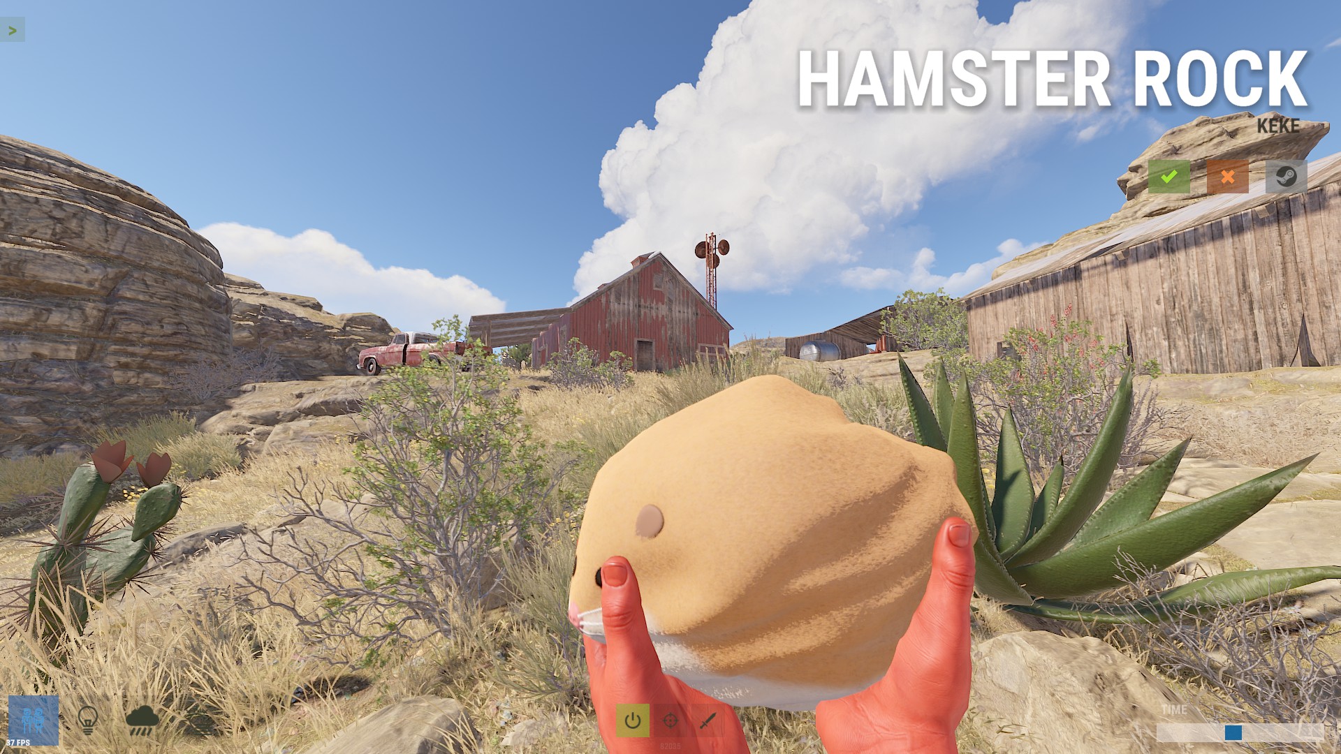 Hamster Rock thumbnail 6