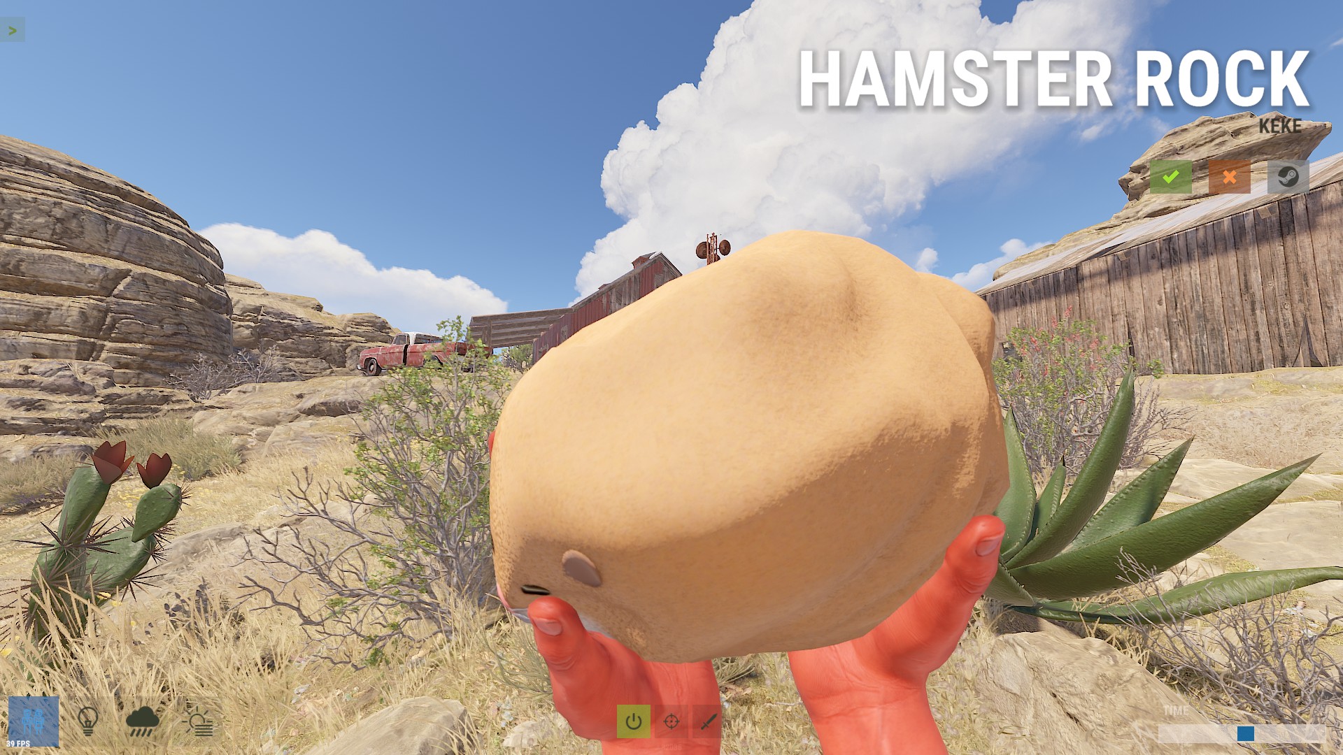 Hamster Rock thumbnail 7