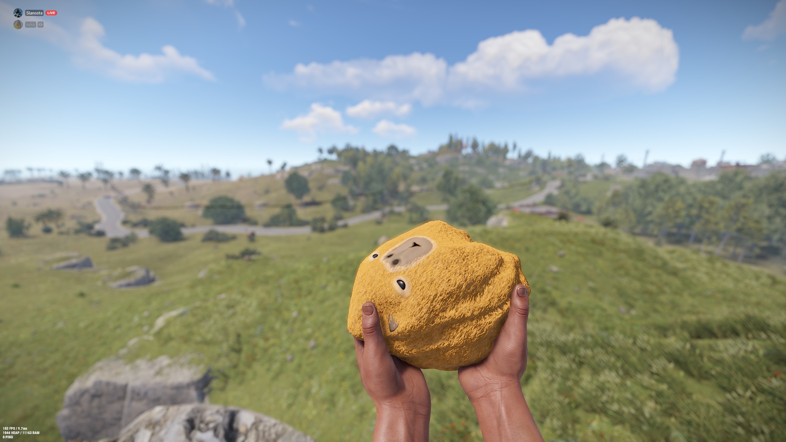 Capybara Rock thumbnail 2