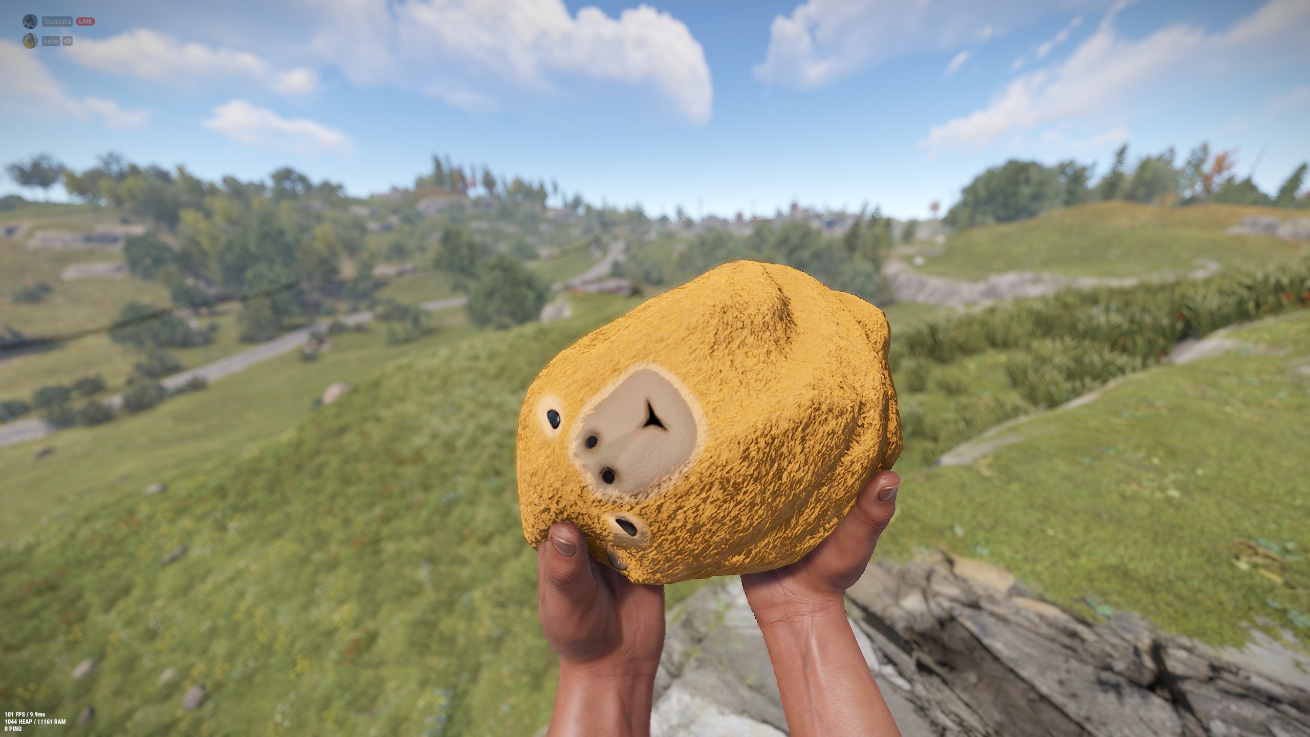 Capybara Rock thumbnail 3