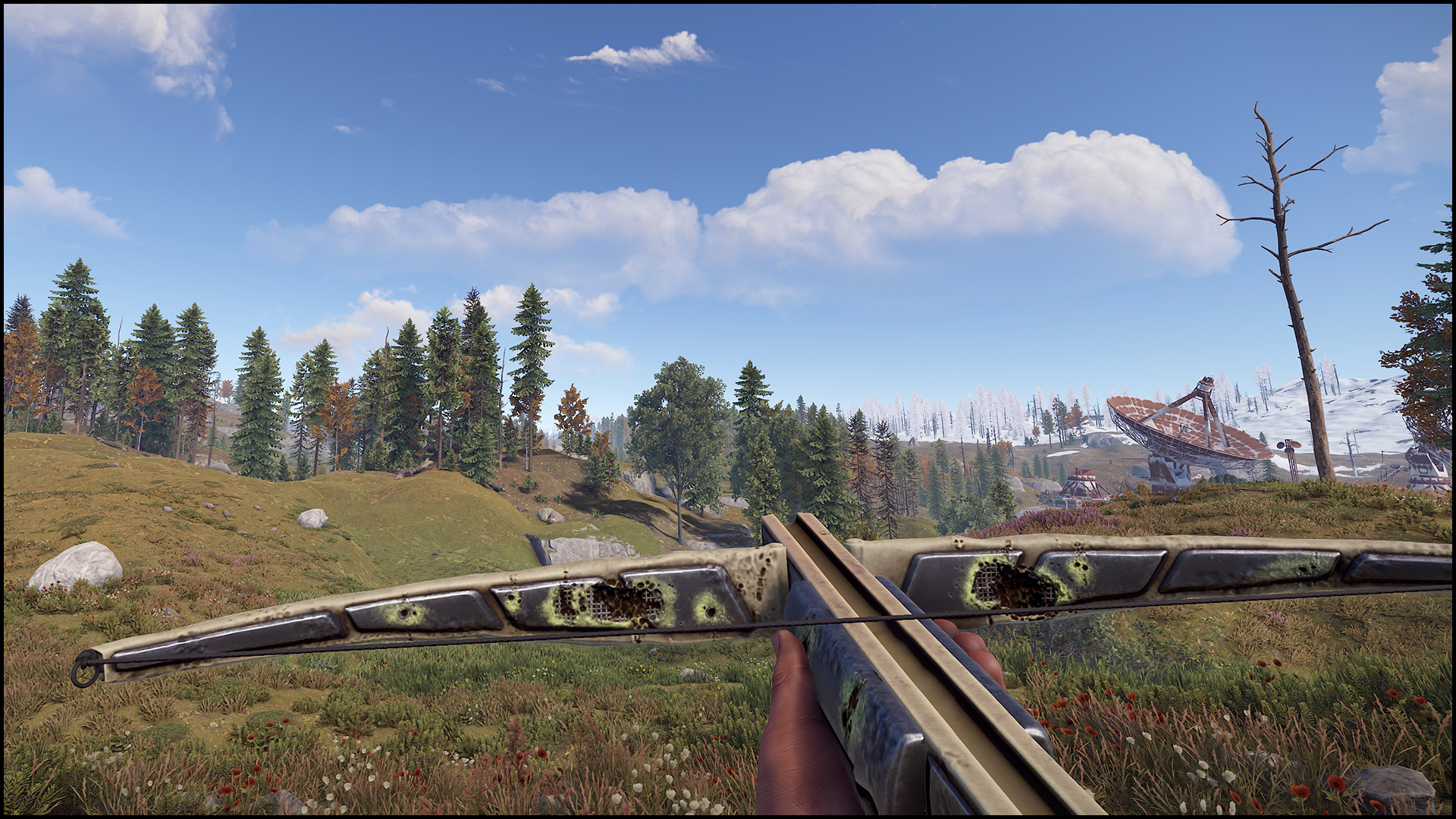 Chemical Burn Crossbow thumbnail 3