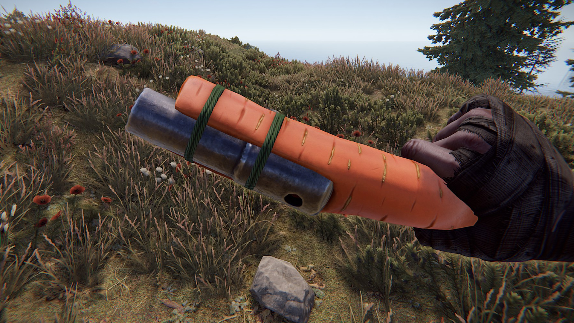 Carrot Eoka thumbnail 4