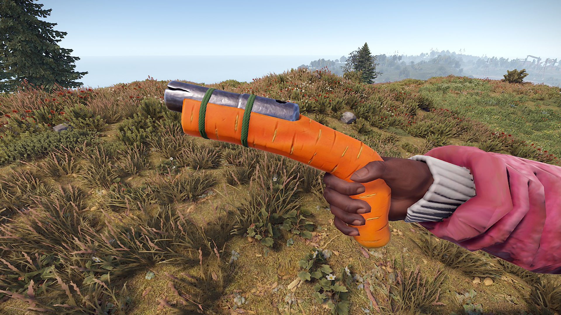 Carrot Eoka thumbnail 2