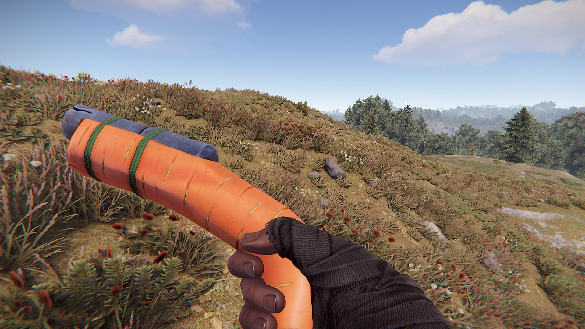 Carrot Eoka thumbnail 7