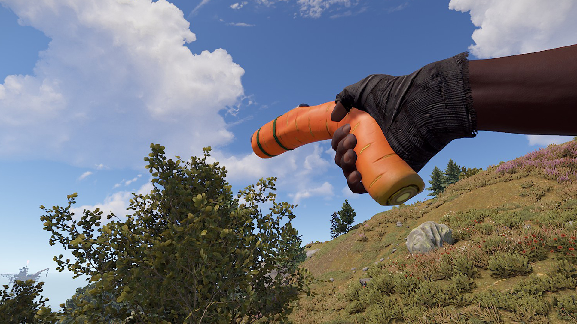 Carrot Eoka thumbnail 8