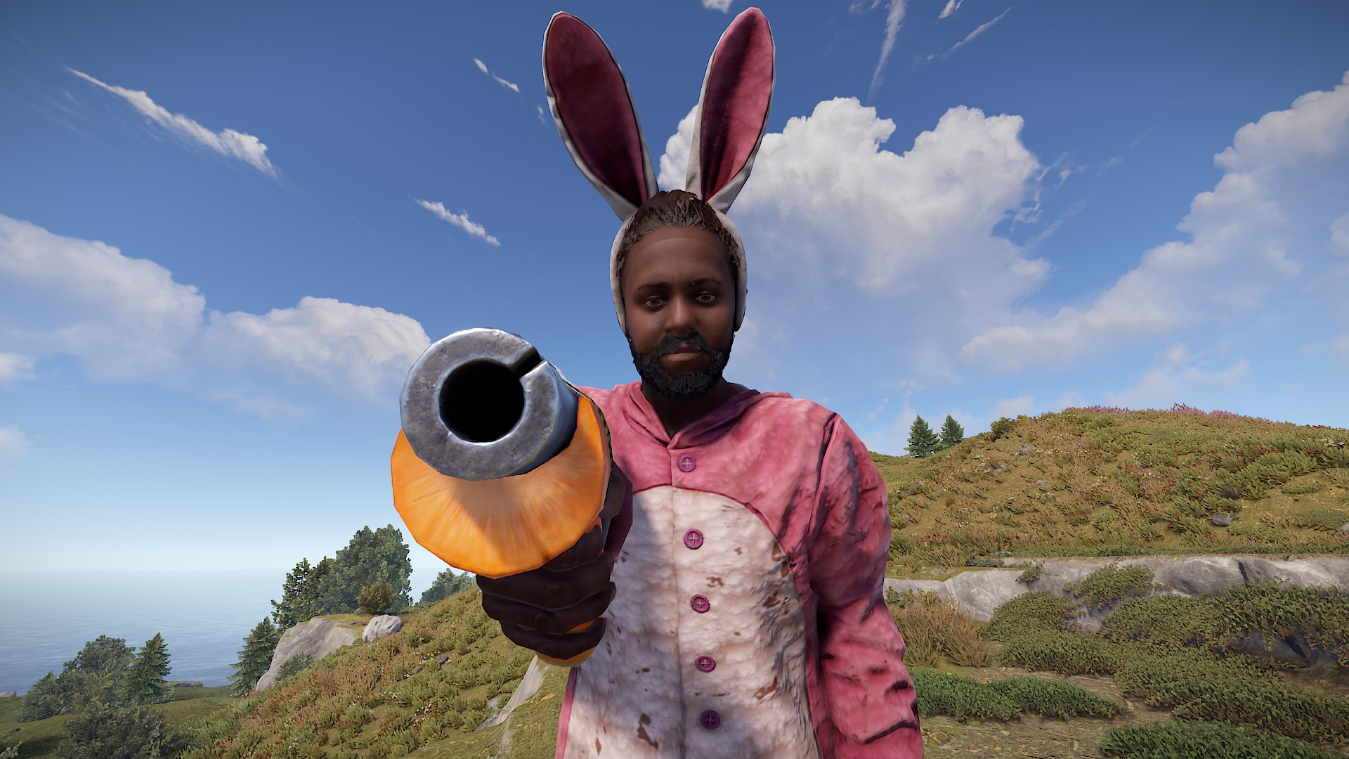 Carrot Eoka thumbnail 5