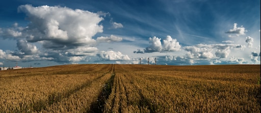 Линия горизонта фото для детей Линия горизонта фото для детей