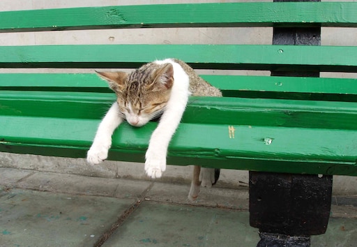 Пришел с работы фото Пришел с работы фото