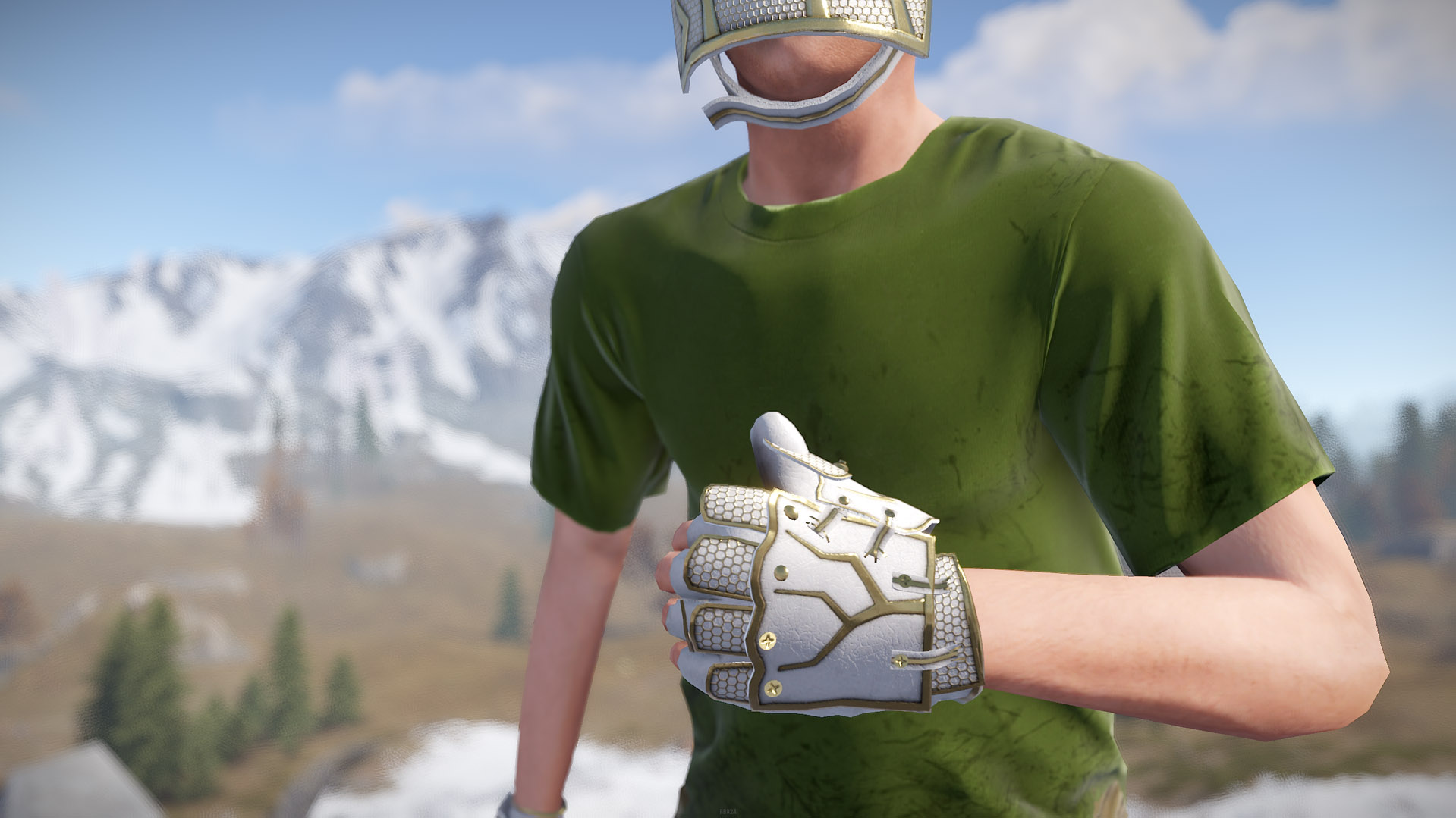 Thundergold Roadsign Gloves thumbnail 2