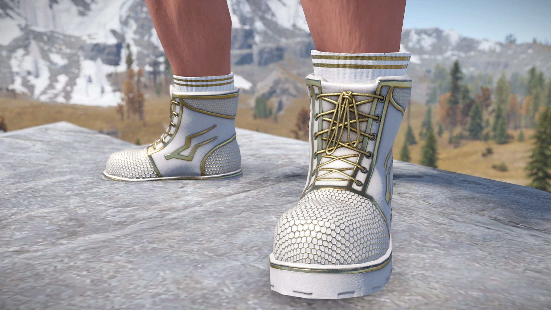 Thundergold Boots thumbnail 2