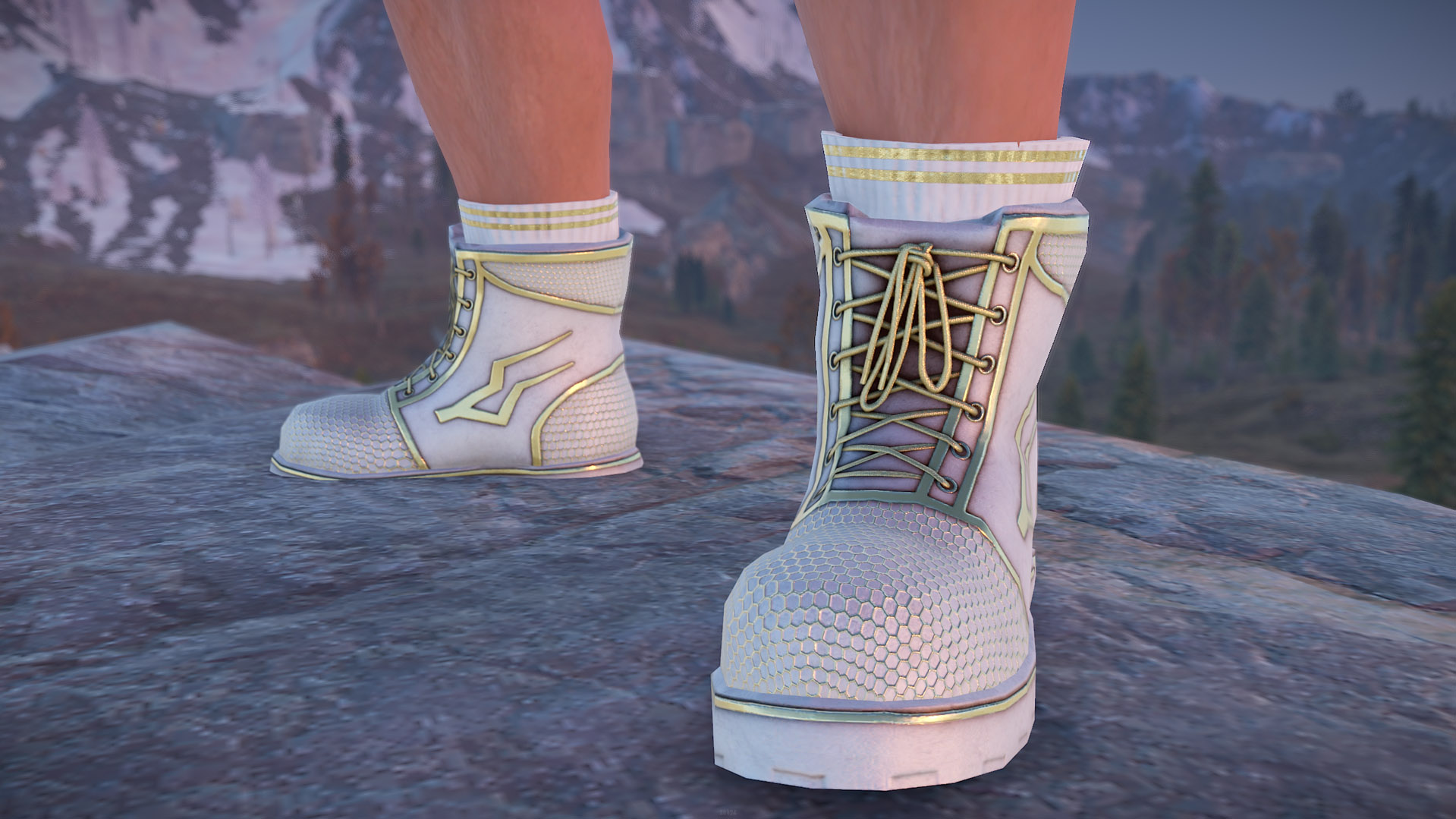 Thundergold Boots thumbnail 8