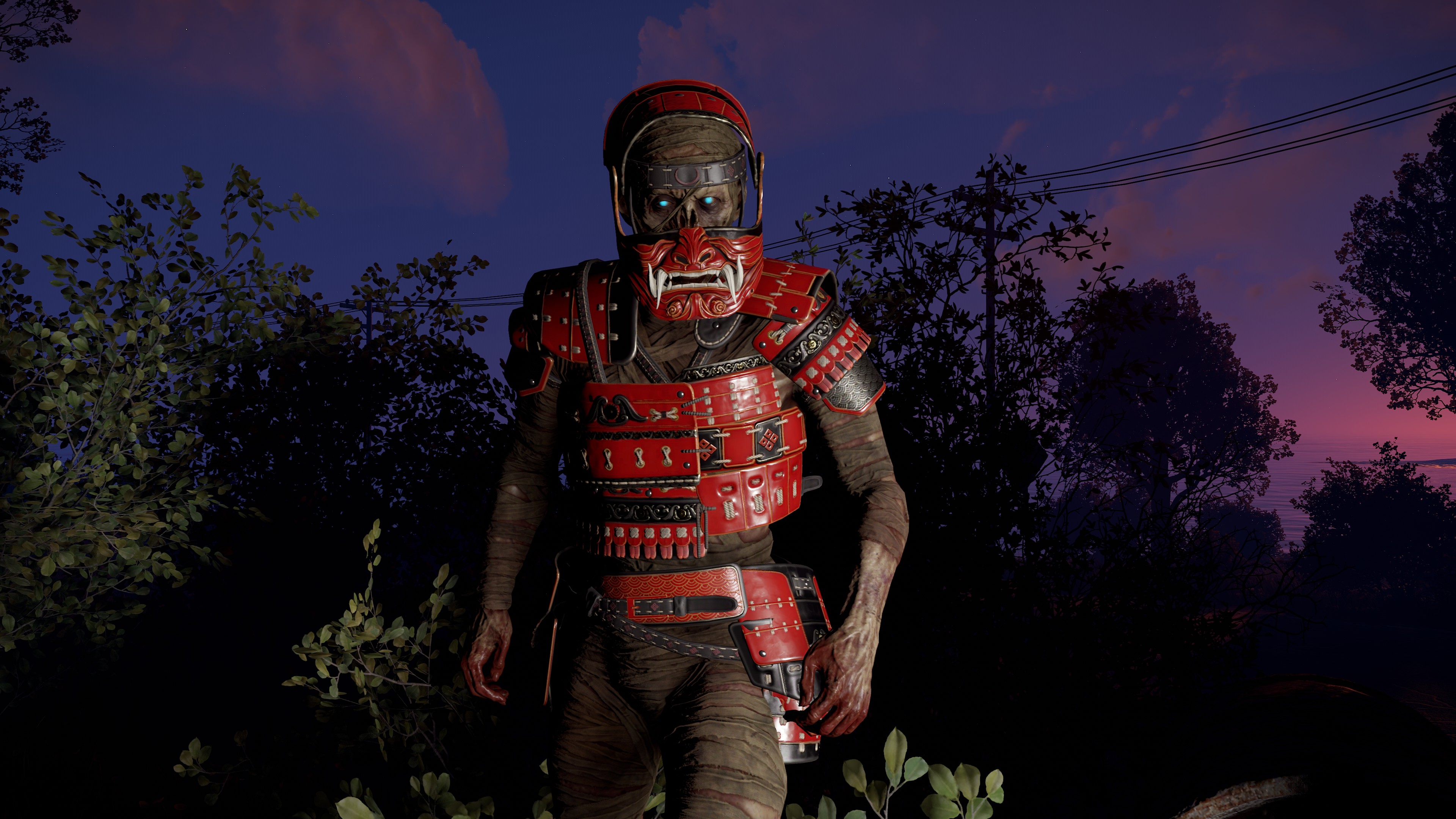 Ronin Vest thumbnail 3