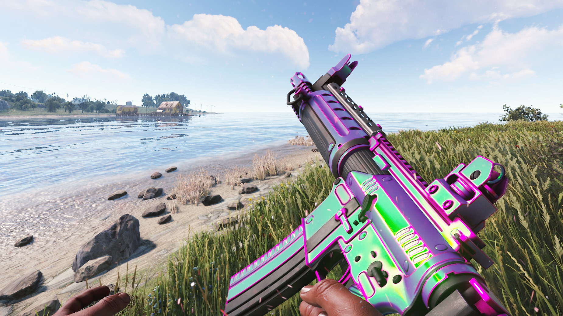 Chameleon LR thumbnail 3